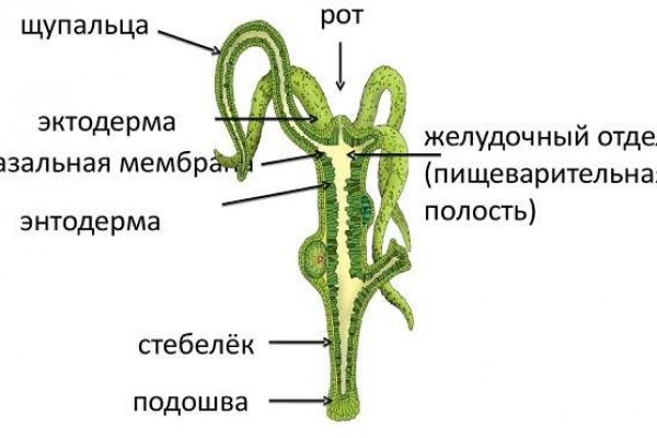 Ссылка блэкспрут