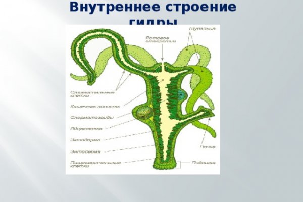 Блэк спрут телеграмм канал