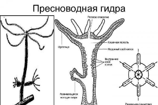 Ссылка на блэкспрут 1blacksprut me